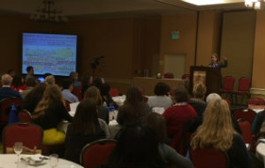 Nora OBrien-Suric makes her presentation at CalSWEC's Aging Summit.